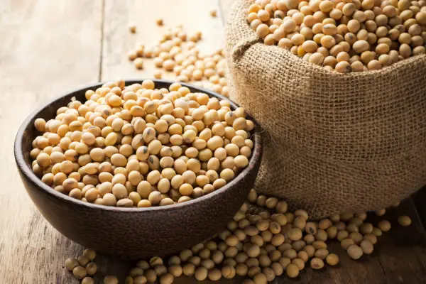 A photo of a sack of soy beans used to make soy wax