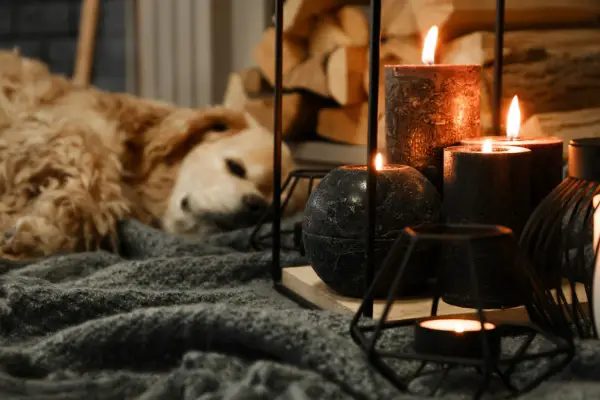 A photo of a dog asleep next to an unattended candle