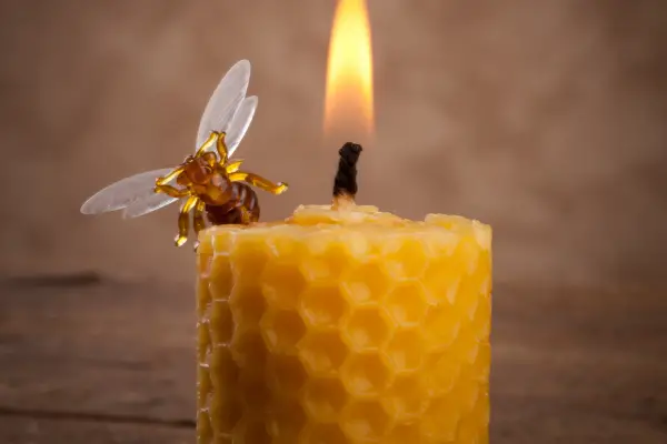 A beautiful beeswax candle with honeycomb design and a model bee.