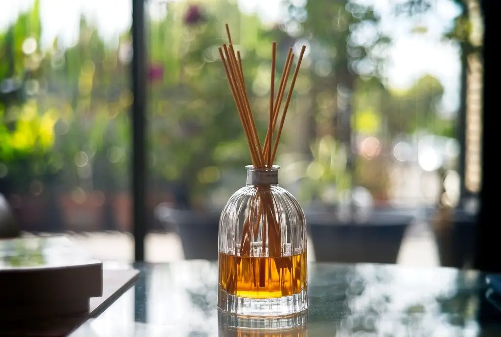 Reed Diffusers Are they Safe? Scents and Aroma