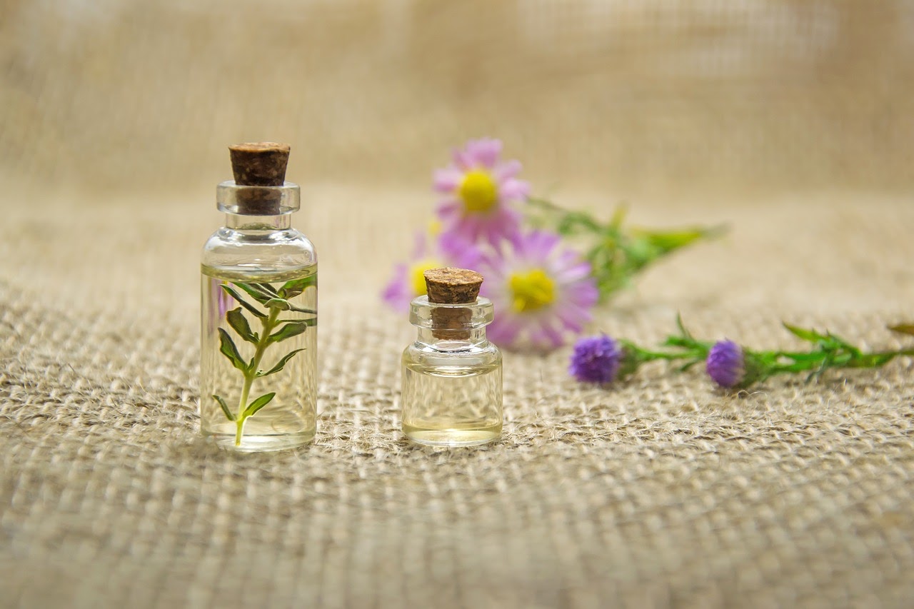 Are Scentsy Wax Melts Toxic or Safe? Scents and Aroma