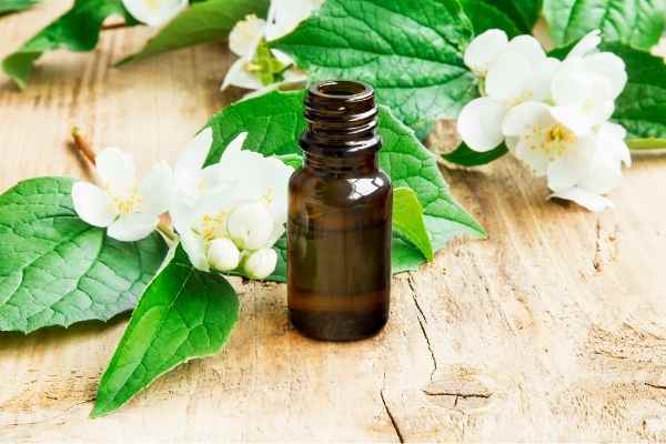 a bottle of jasmine essential oil with jasmine flowers next to it