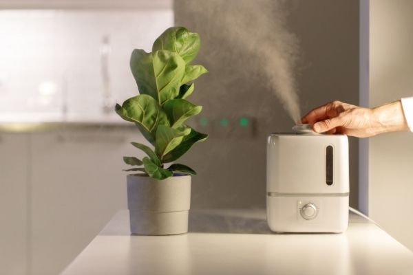 A photo of a humidifier releasing moisture