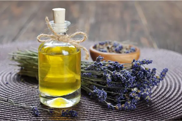 A photo of a bottle of homemade lavender oil