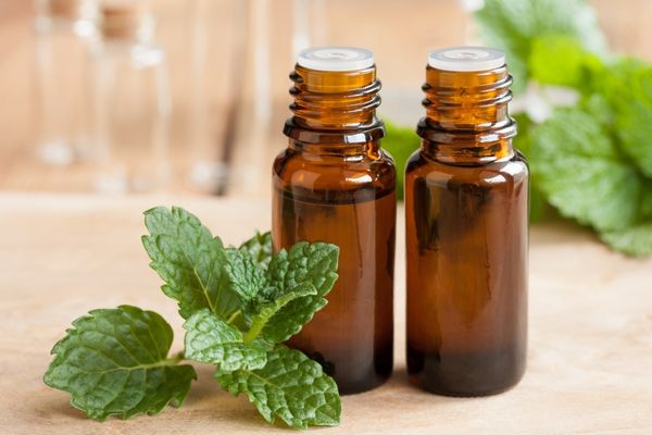 A photo of two bottles of peppermint essential oils
